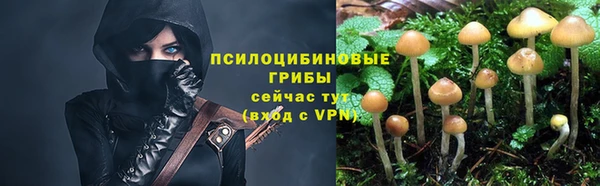 PSILOCYBIN Алзамай