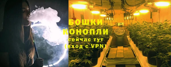 PSILOCYBIN Алзамай