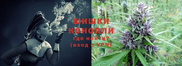 PSILOCYBIN Алзамай