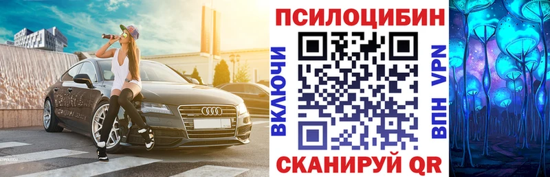 где найти наркотики  Якутск  Галлюциногенные грибы Psilocybe 